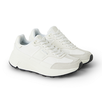 R1300 Shoe w