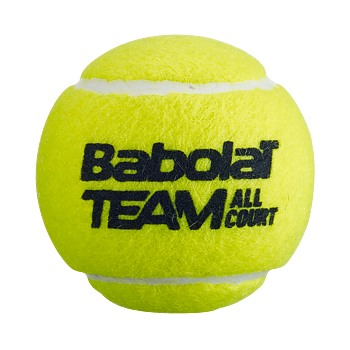 Team All Court 4p Ball