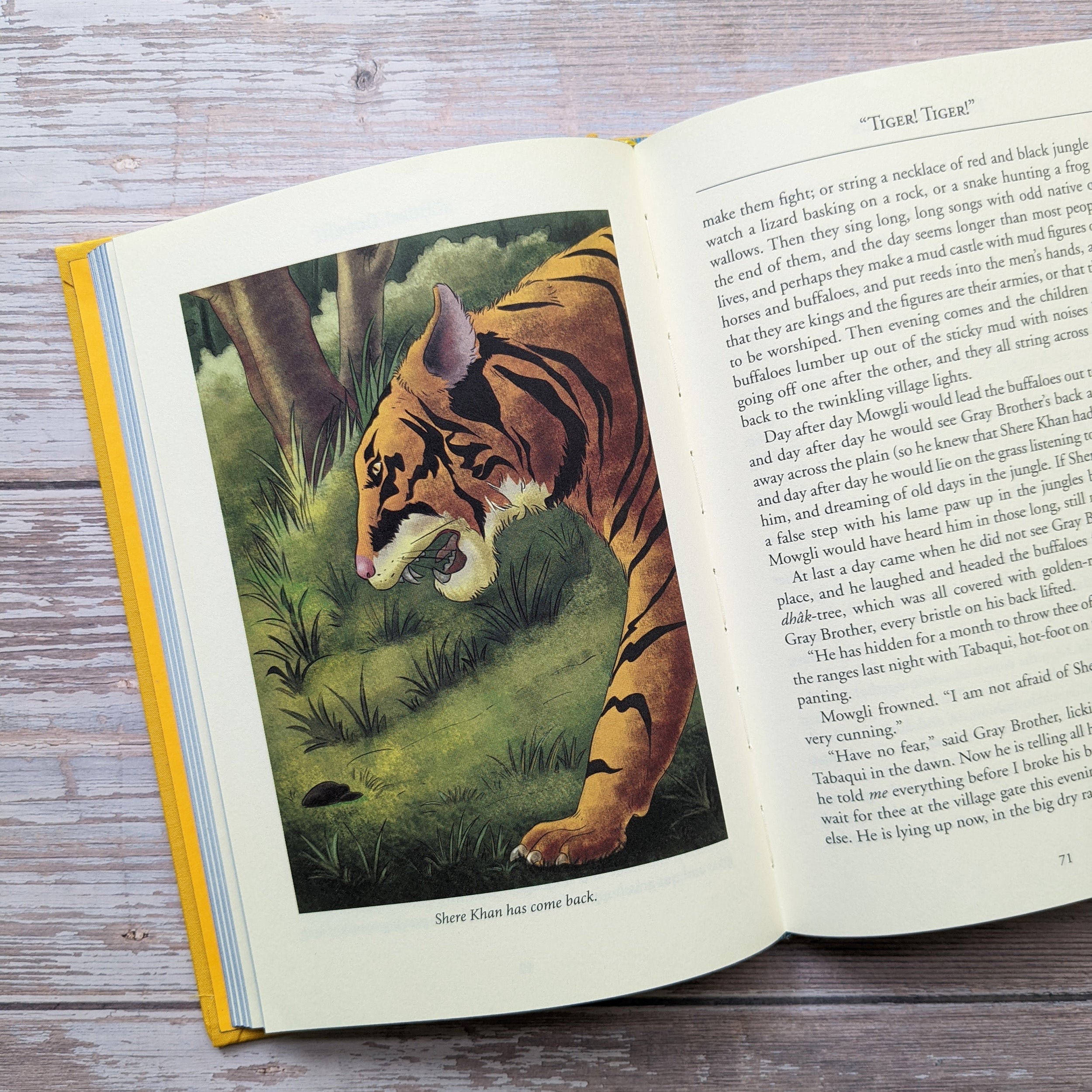 The Jungle Book – Bath Classics - 3