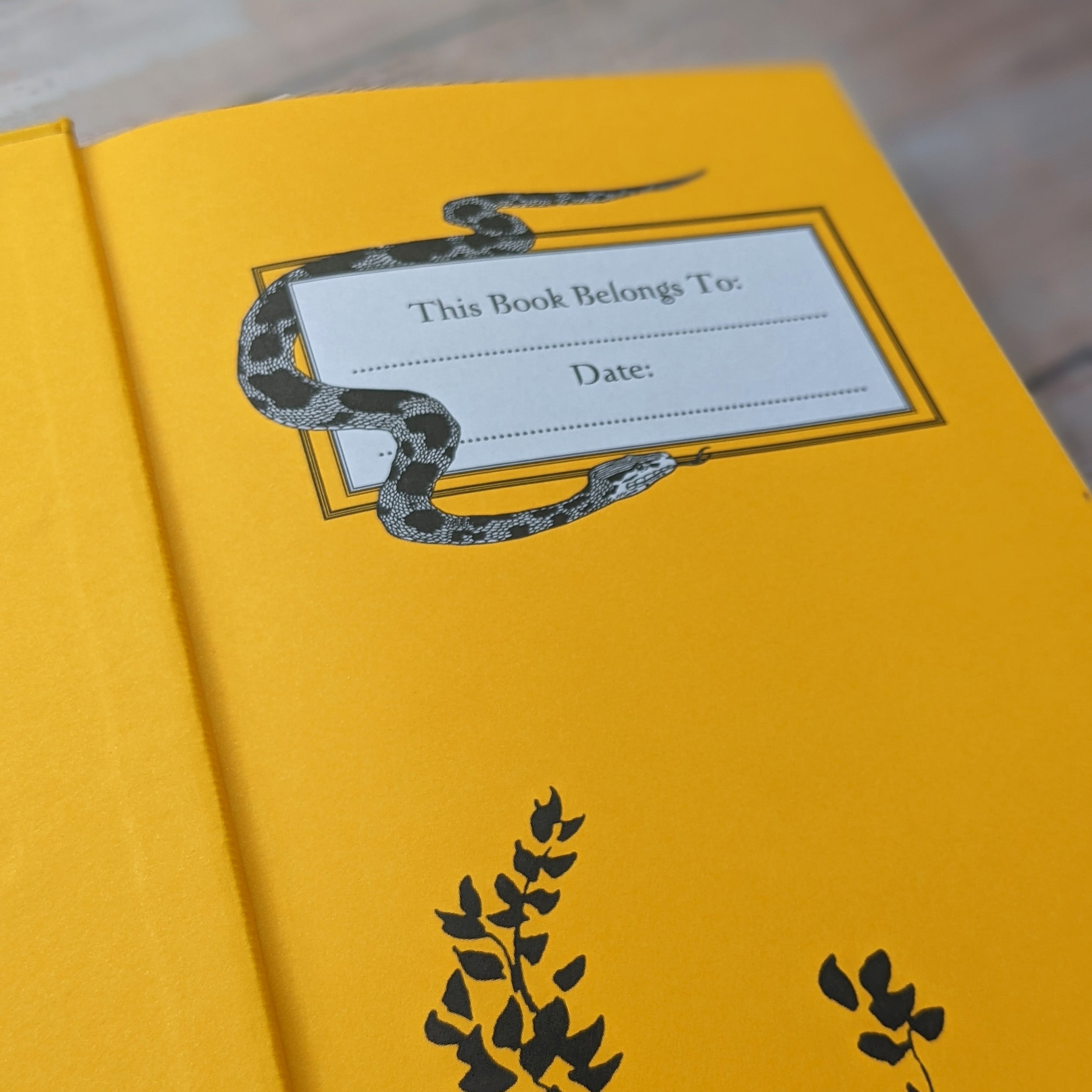 The Jungle Book – Bath Classics - 5