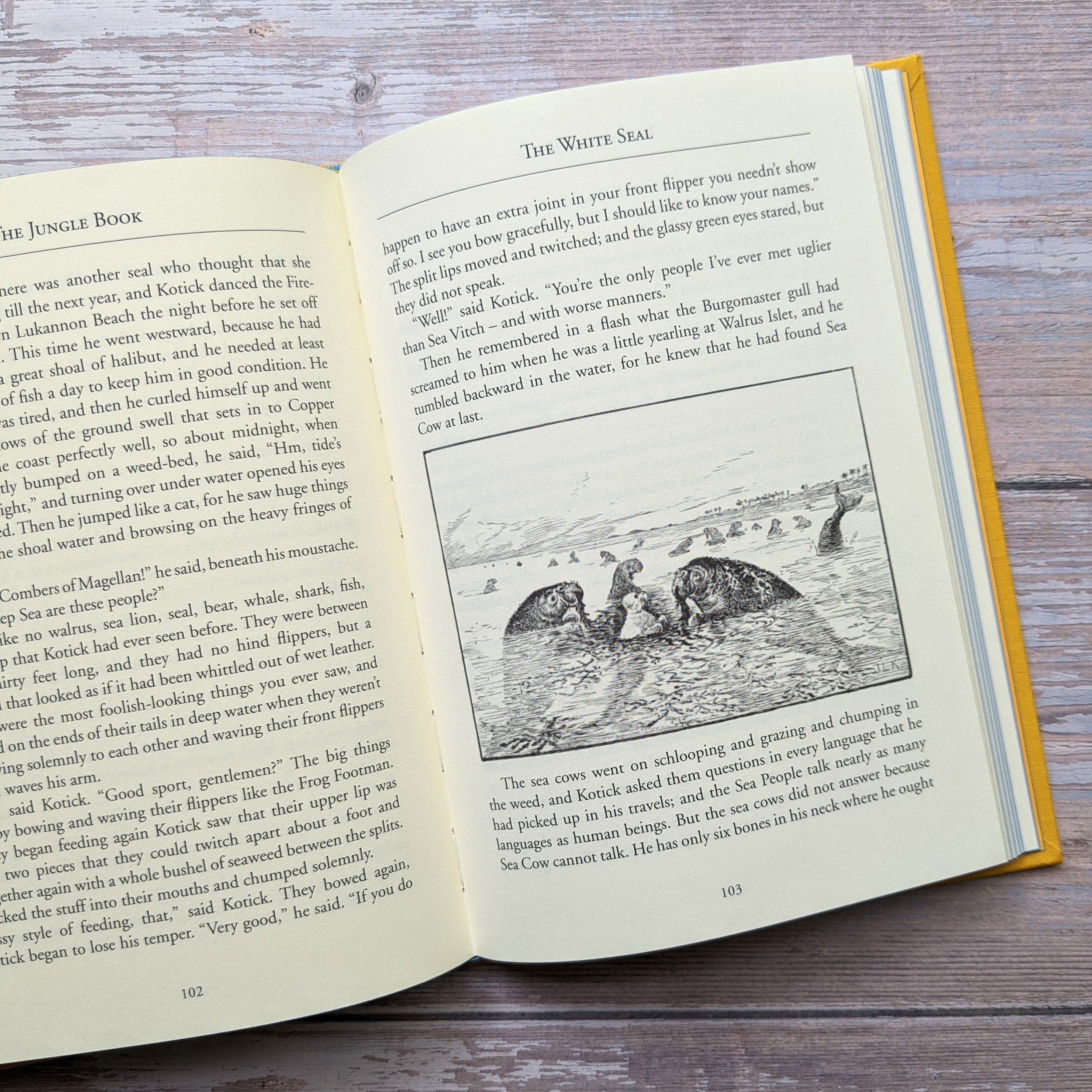 The Jungle Book – Bath Classics - 4