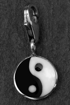 Yin Yang silvercharm