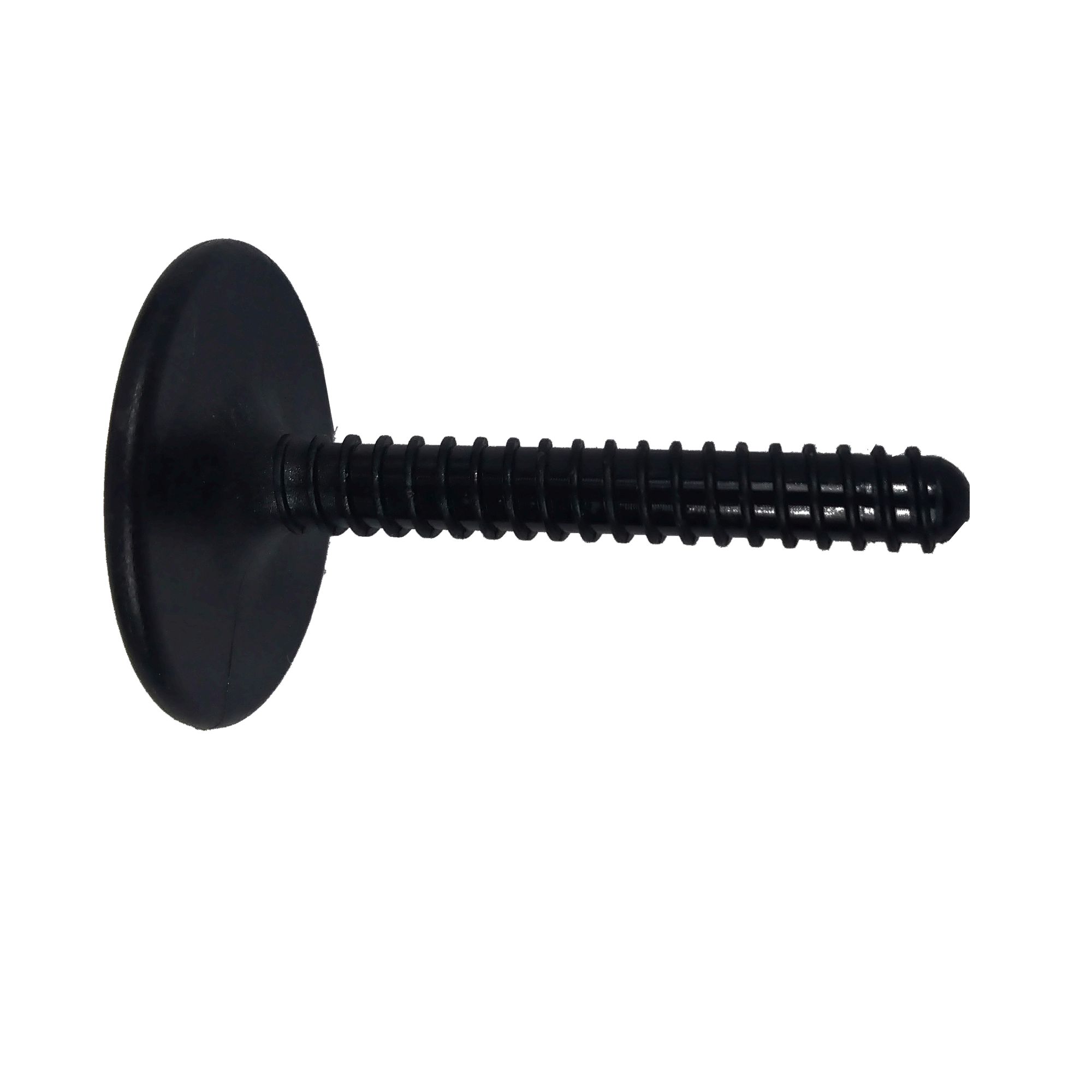 Screw for Softboard Fin or Bodyboard Plug