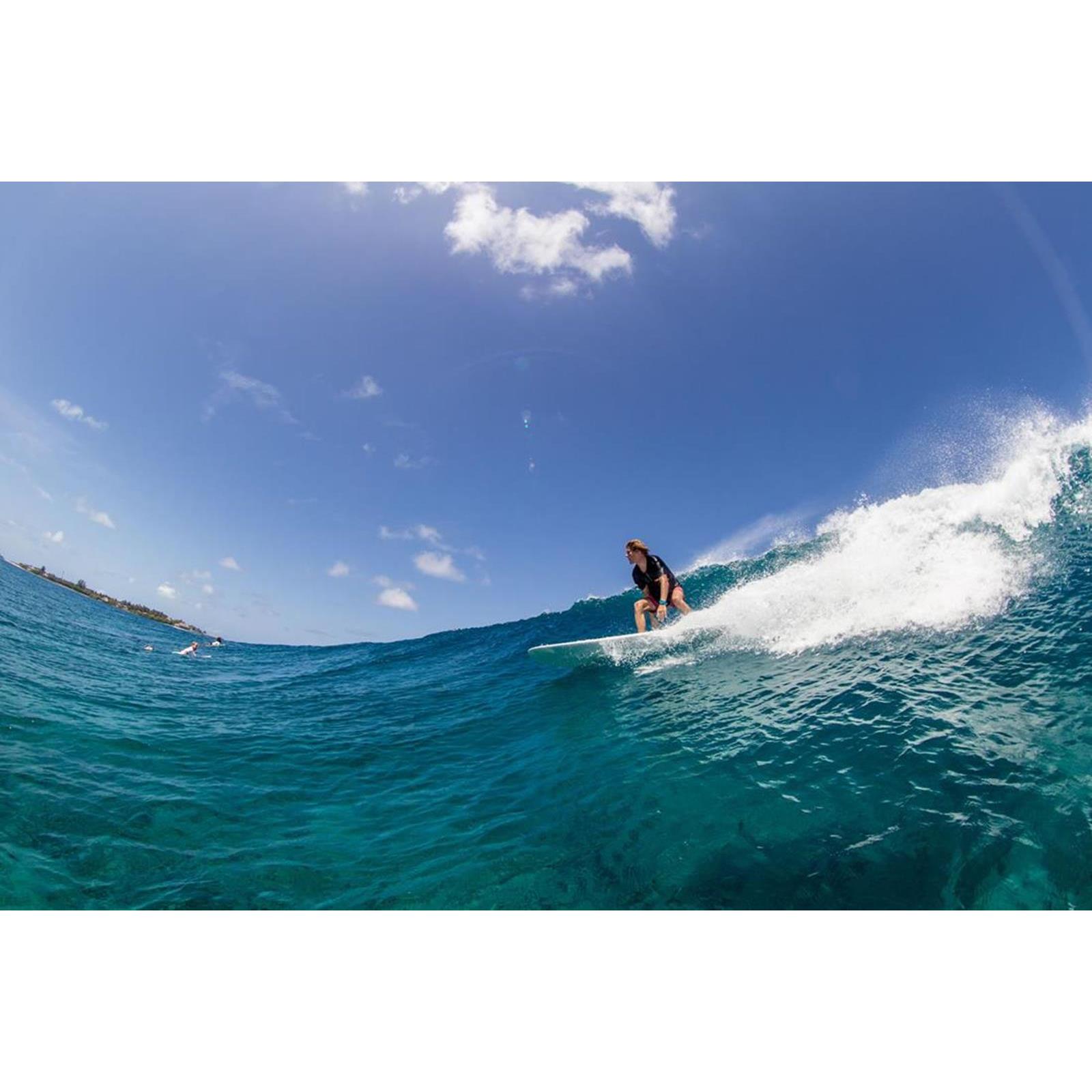 Torq Epoxy 8.6 Longboard Pinline - 9