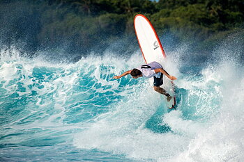 Surfboard TORQ Epoxy 9.0 Longboard Pinlines