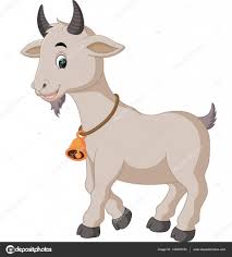 Alpaca