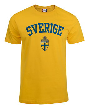 Basic T SWE