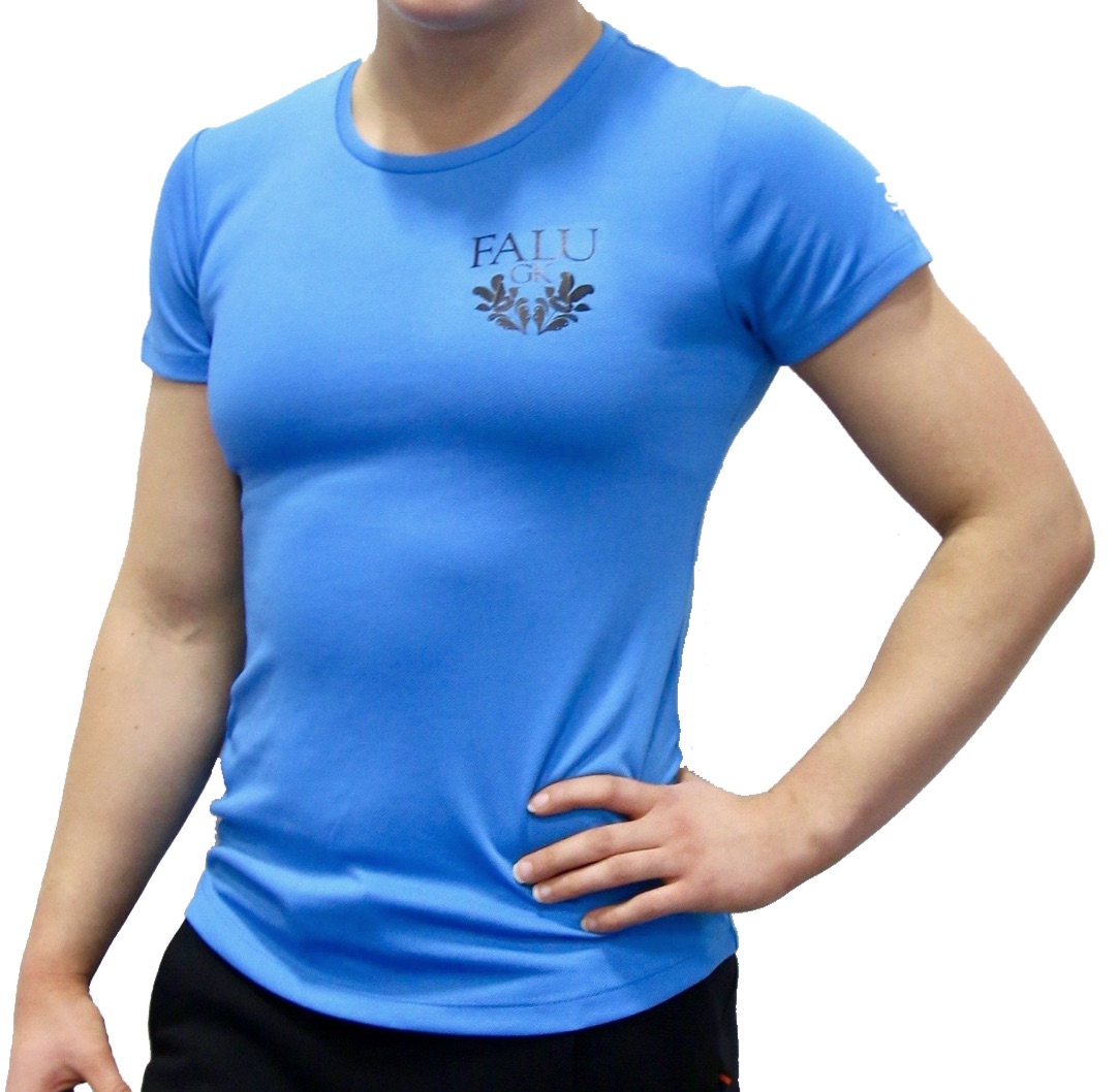 Falu GK T-shirt, Dam