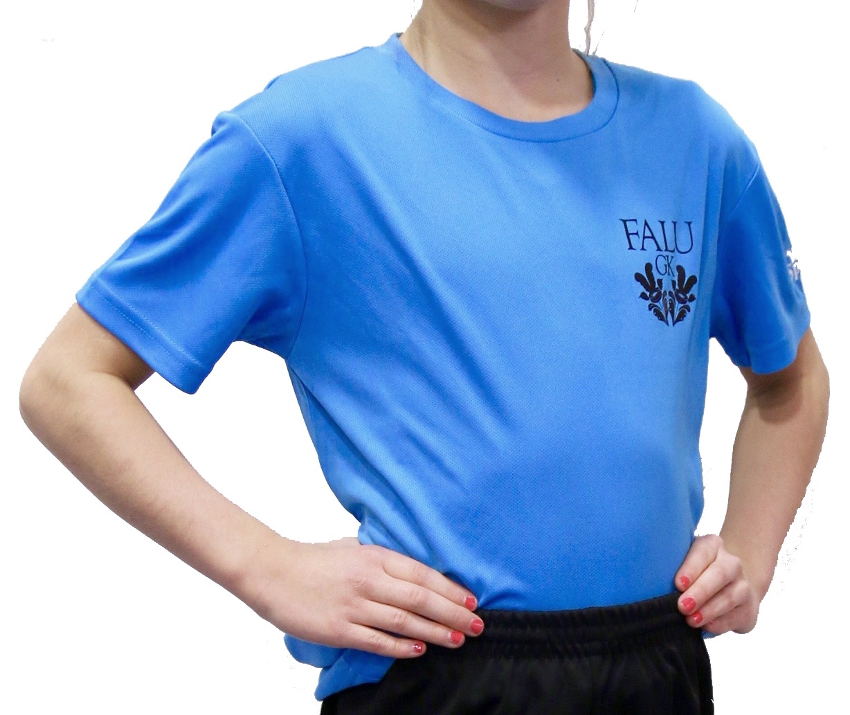 Falu GK T-shirt, Junior