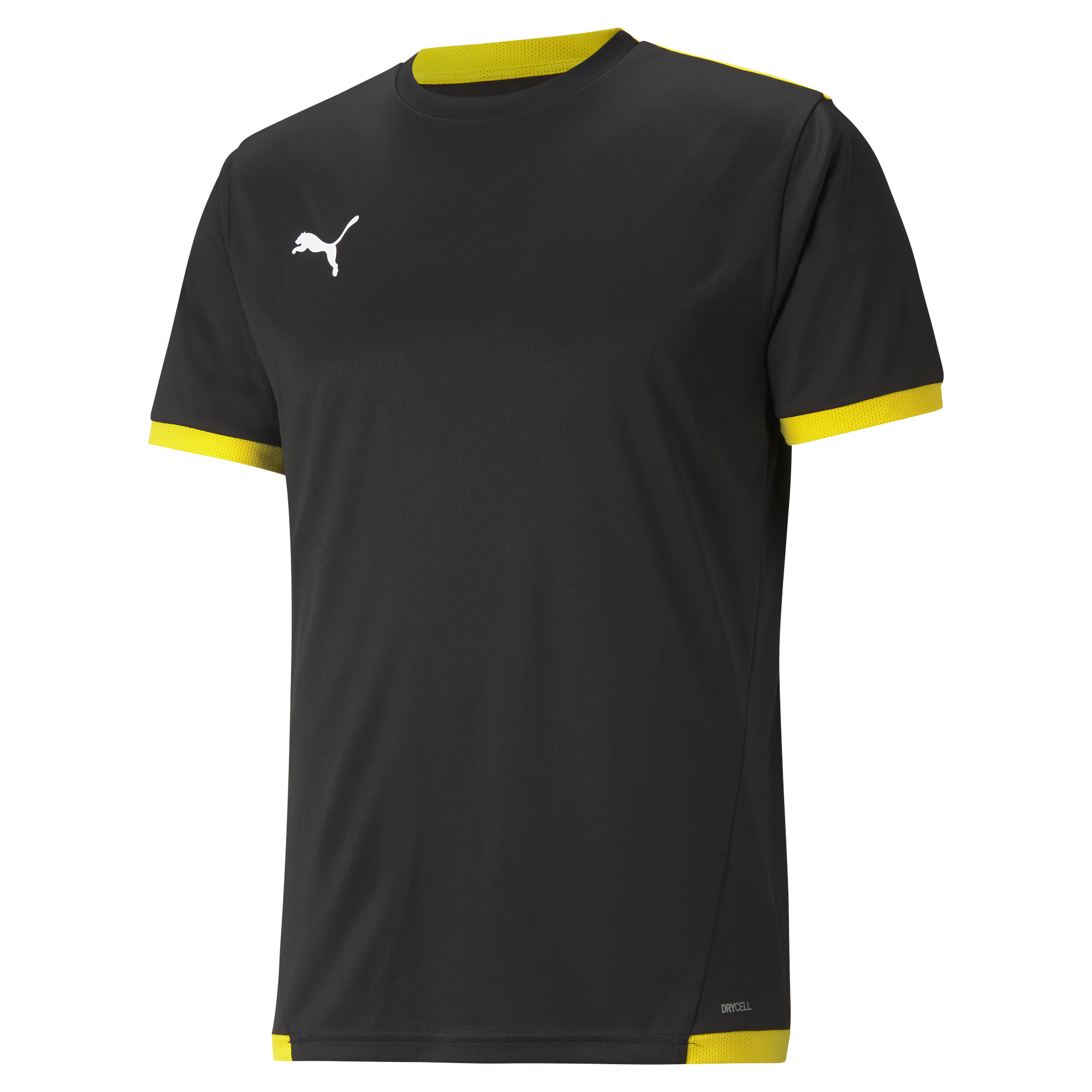 TeamLIGA 25 Jersey S/S Herr - 10