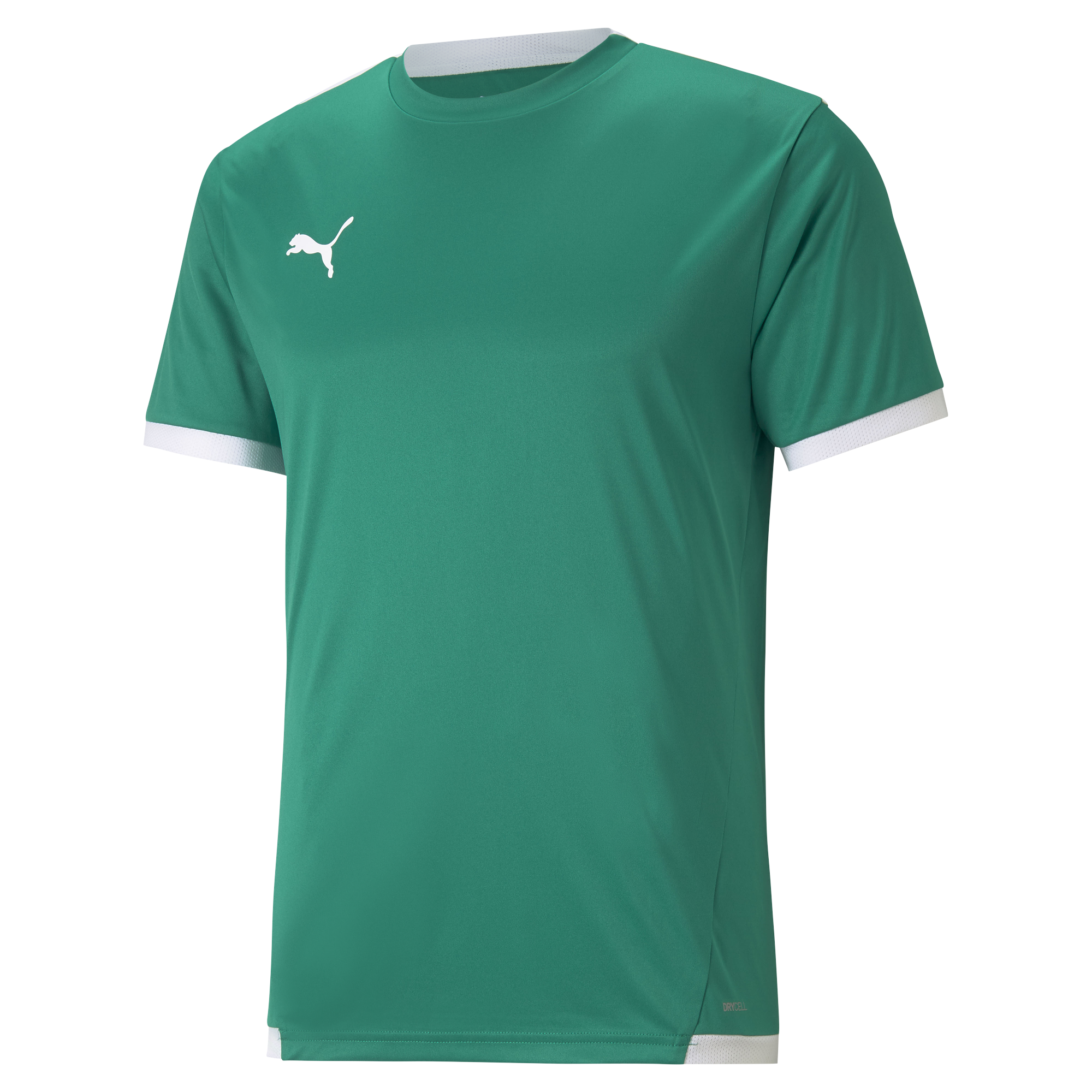 TeamLIGA 25 Jersey S/S Herr - 6