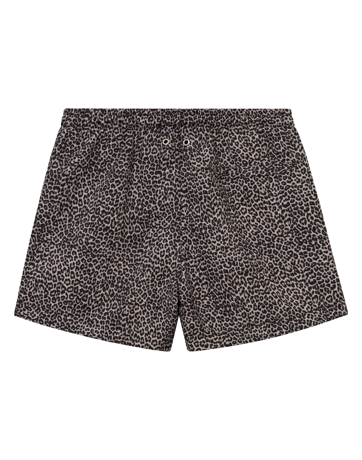 Saltabad Badshorts Leo