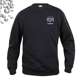 College Sweatshirt, unisex  | Rhinestones