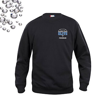 College Sweatshirt, barn | Rhinestones