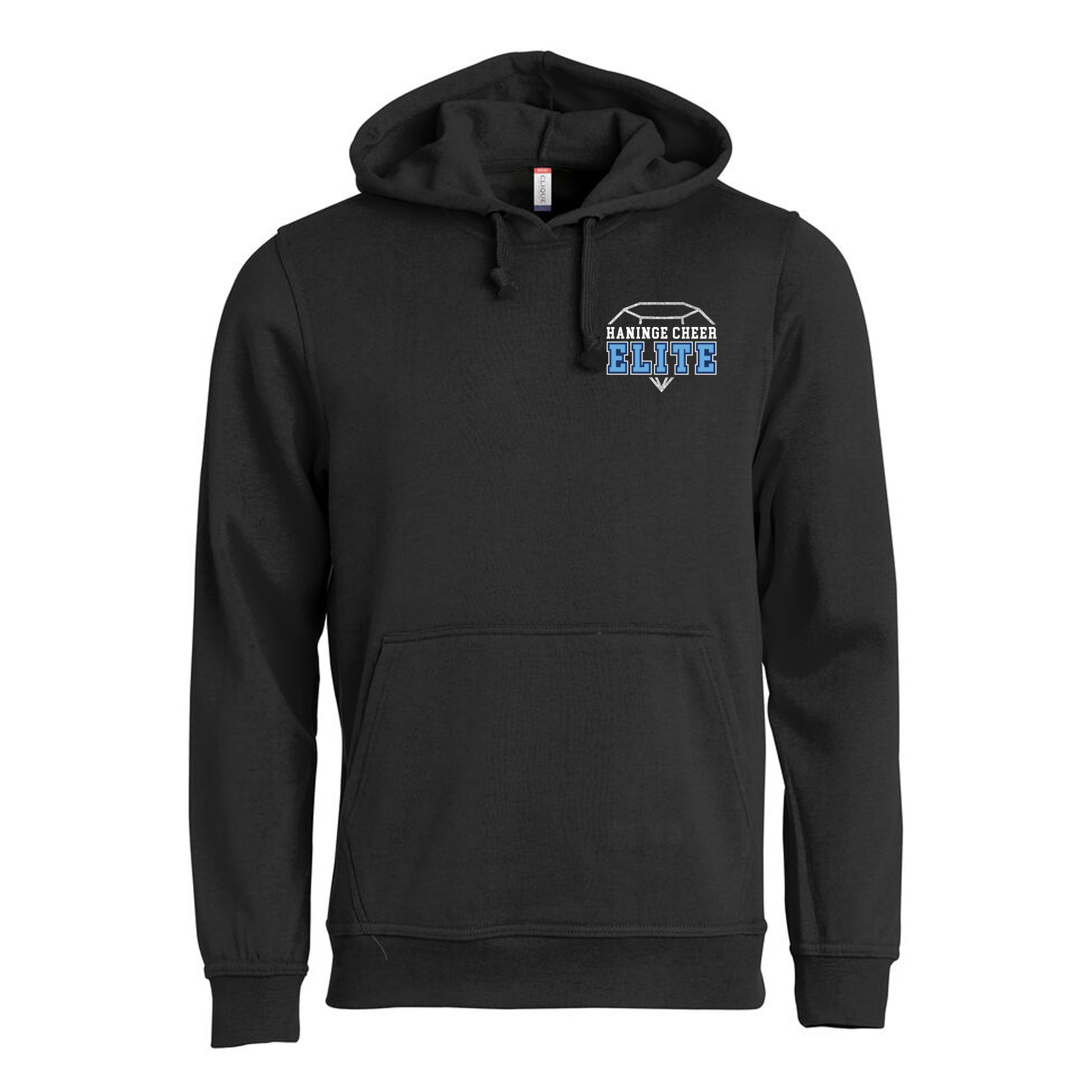 College  Hoody, unisex