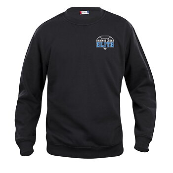 College Sweatshirt, unisex