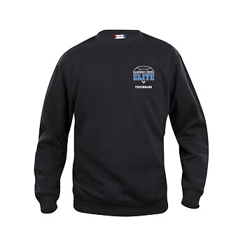 College Sweatshirt, barn