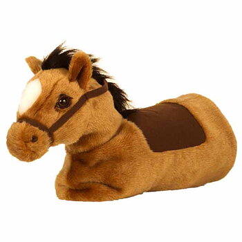 Baby Horse