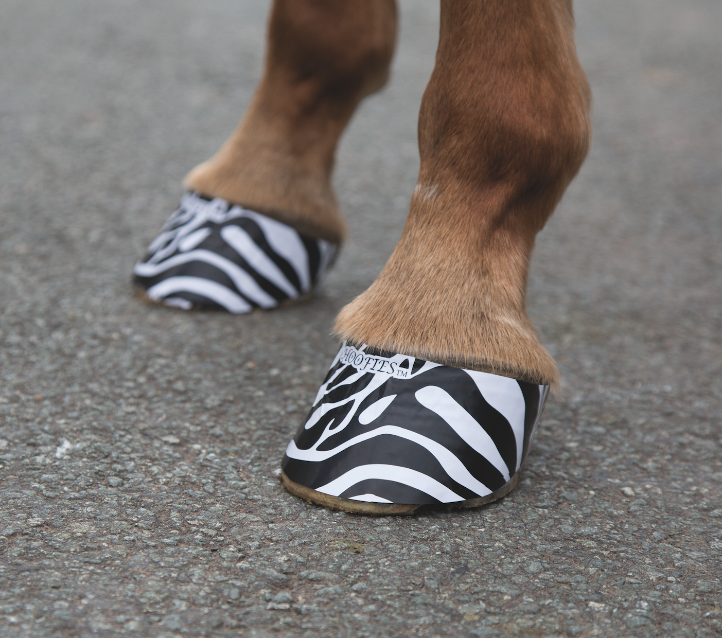 Klistermärken till hovarna "Hoofies"