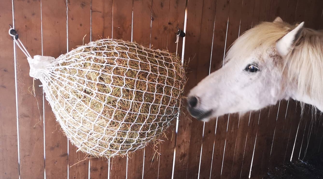 Slowfeeding Hönät Special
