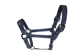 Grimma Cavallo Haiti