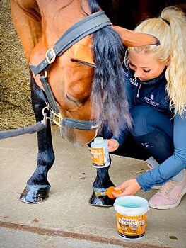 NAF Farrier Solution by ProFeet