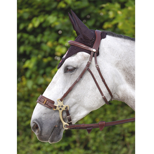 Träns Dy'on till hackamore