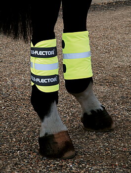 Benreflex Equi-Flector