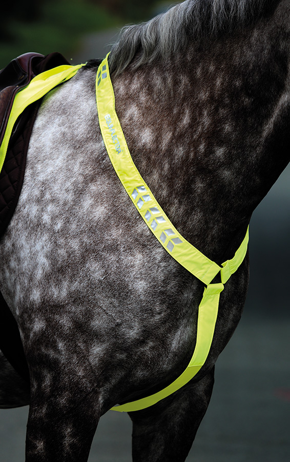 Reflexförbygel Equi-Flector