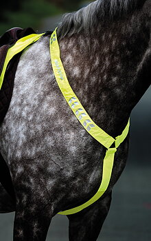 Reflexförbygel Equi-Flector
