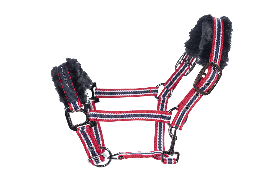 Grimma Cavallo Helia - 4