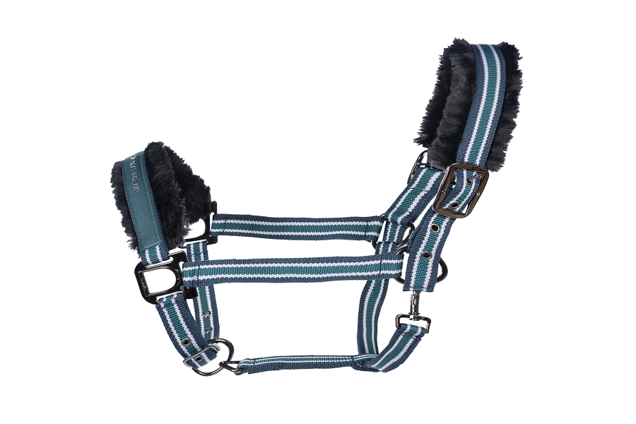 Grimma Cavallo Helia - 3
