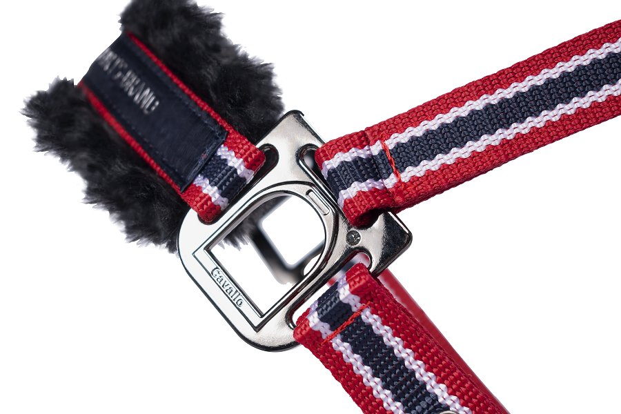 Grimma Cavallo Helia - 9
