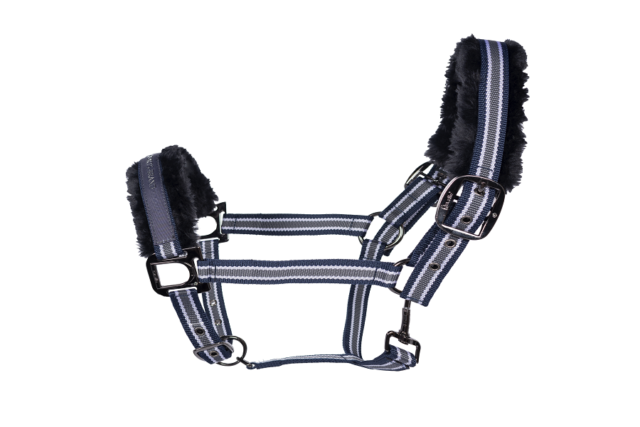 Grimma Cavallo Helia - 2