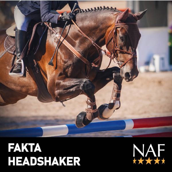 FAKTA Headshaker