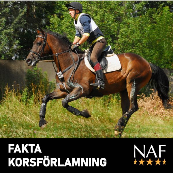 FAKTA Korsförlamning