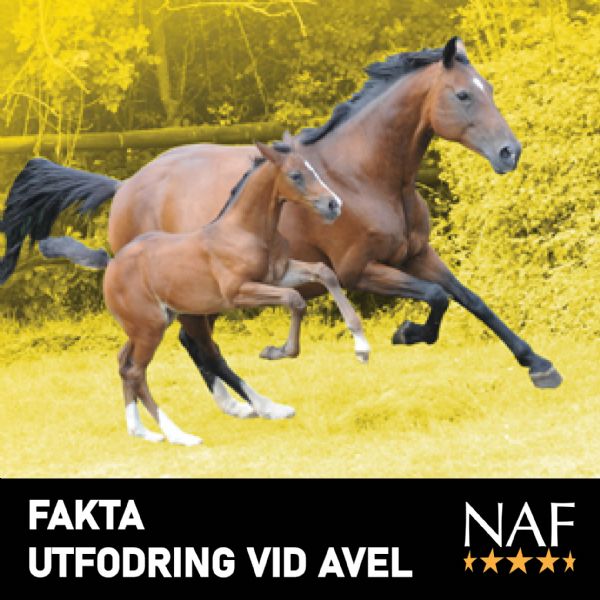 FAKTA Utfodring vid Avel