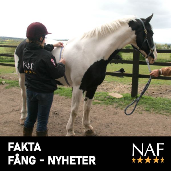 FAKTA Fång - Ny forskning