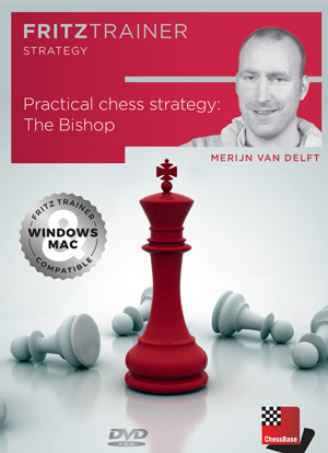 Practical Chess Strategy: the bishop av Merijn Van Delft