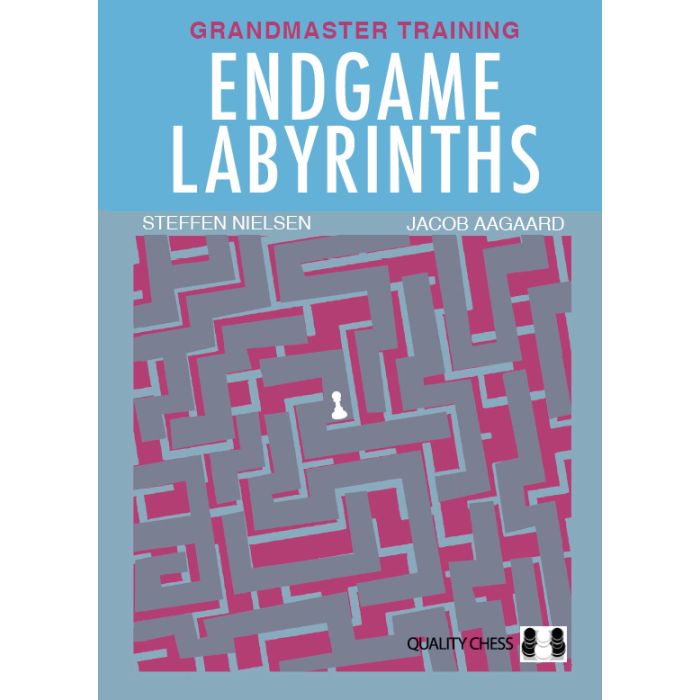 Endgame Labyrinths - Mjukpärm