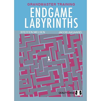 Endgame Labyrinths - Mjukpärm