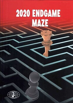 2020 Endgame Maze av informator