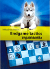 Endgame Tactics