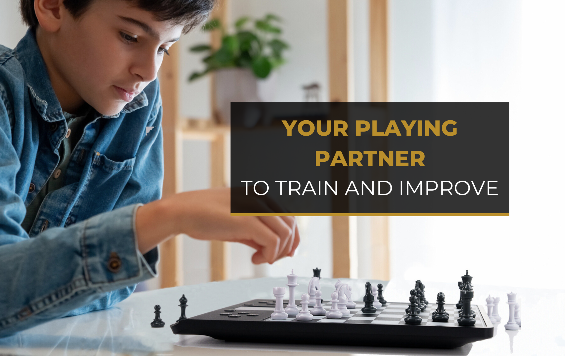 Chessgenius pro 2024 - 7
