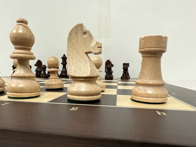 Schackpjäser Staunton nr 6 ekonomi - 5