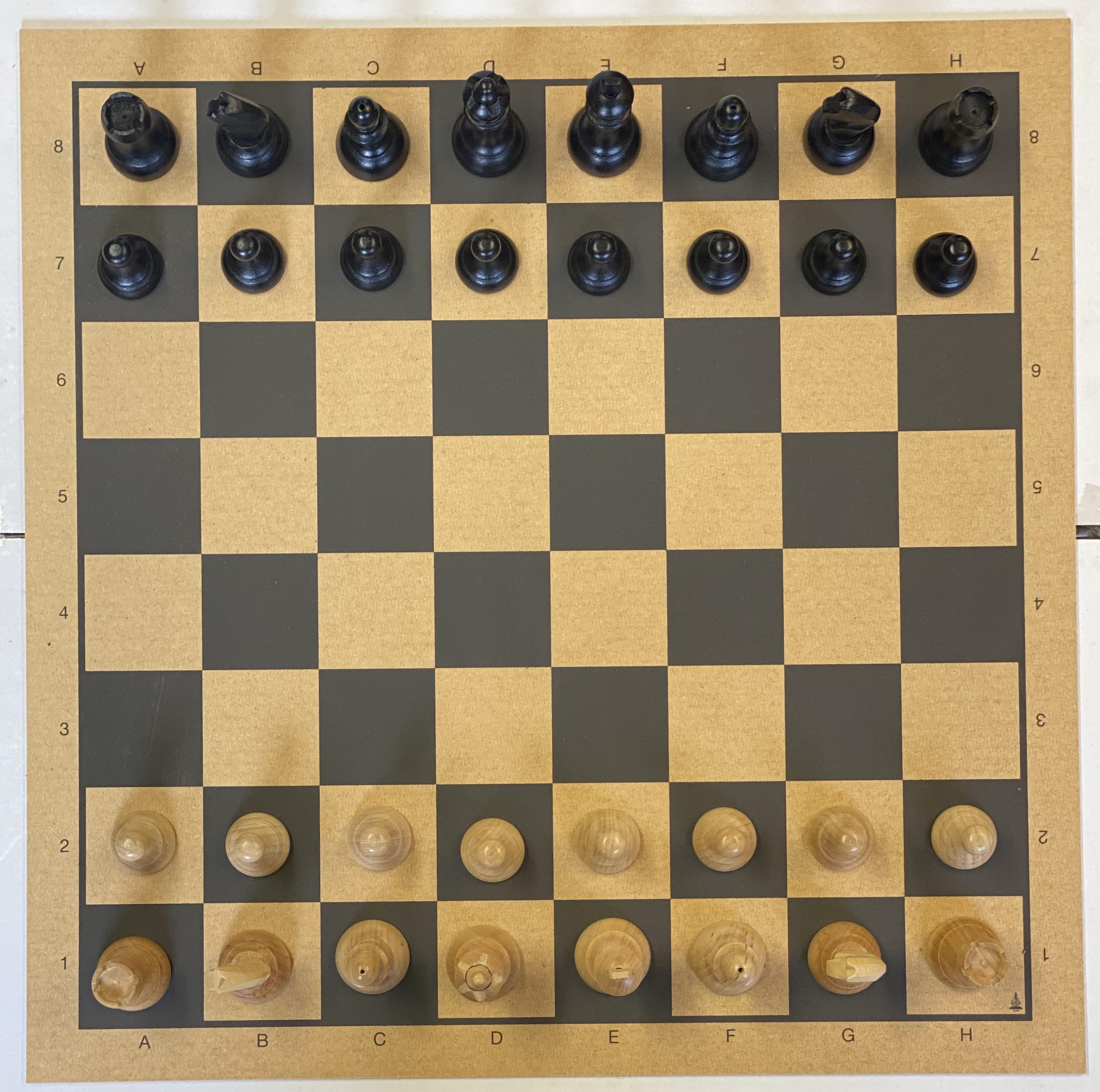 Hitta en schacktränare - Sida 3 