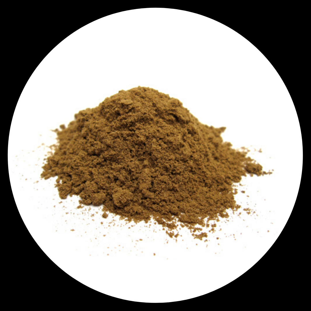 HOUJI-TEA POWDER ほうじ粉末茶