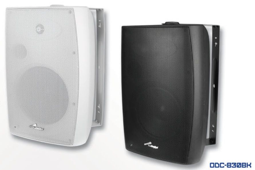 AUDIOPIPE ODC - 830 - 2