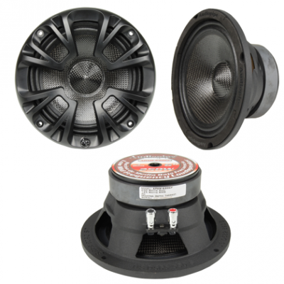 AUDIOPIPE APAW-838CF 8"