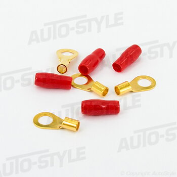 SSDN 10mm2 Ringskor